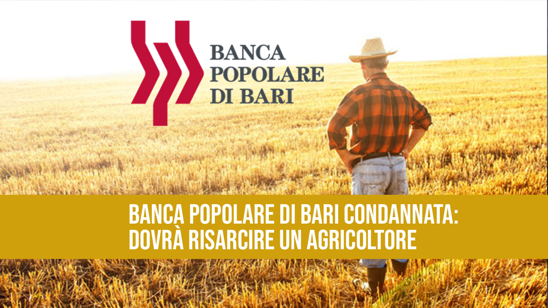 Banca Popolare di Bari, ancora una condanna: dovrà risarcire un agricoltore